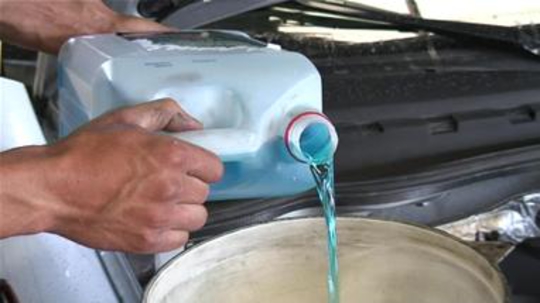BUG BUSTER 5 LITRES